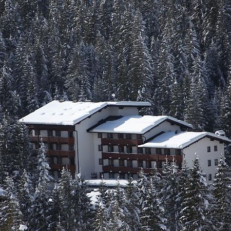 Residence Edelweiss 圣马蒂诺-迪卡斯特罗扎 外观 照片